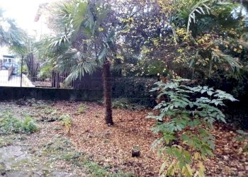 5.jpg - Villa Via Italia 24, Seriate - photo 6