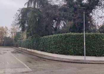 f4 - Copia.jpg - Casa indipendente via stadio 86, Camisano Vicentino - foto 5