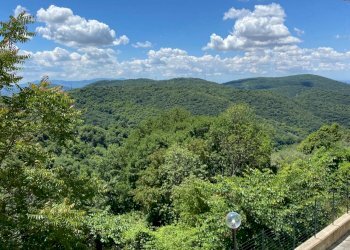 WhatsApp Image 2024-06-03 at 14.59.24 (8).jpeg - Appartamento via di Marcellina, San Polo dei Cavalieri - foto 13