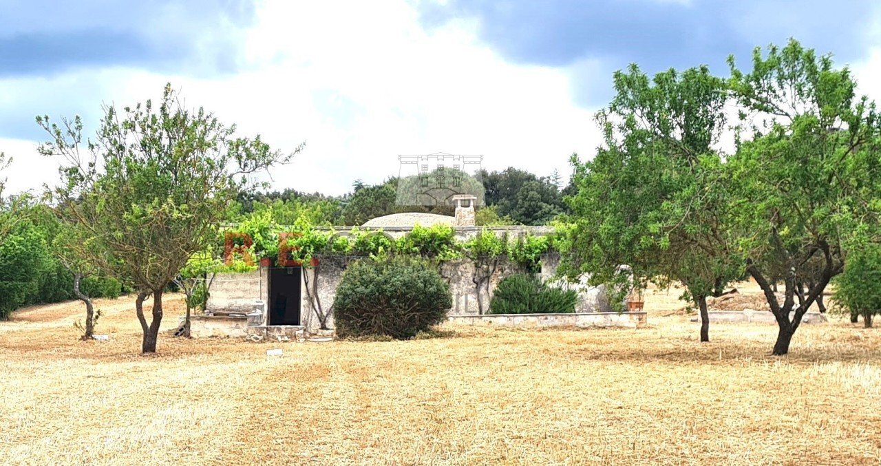 20240528_102806 primo.jpg - Rustico Martina Franca - foto 1