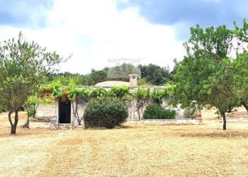 20240528_102806 primo.jpg - Rustico Martina Franca - foto 1