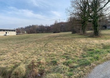 IMG_7131.jpg - Terreno agricolo Via delle Fabbriche, Niella Tanaro - foto 3