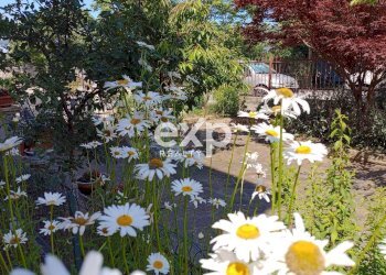 Quadrilocale Via Giacomo Matteotti, Belgioioso - foto 10