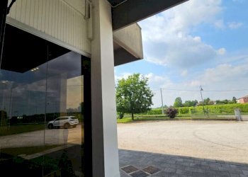 Capannone San Possidonio - foto 4