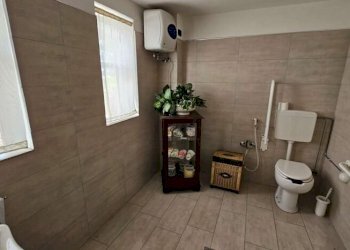 Capannone San Possidonio - foto 8