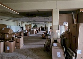 Capannone San Possidonio - foto 13