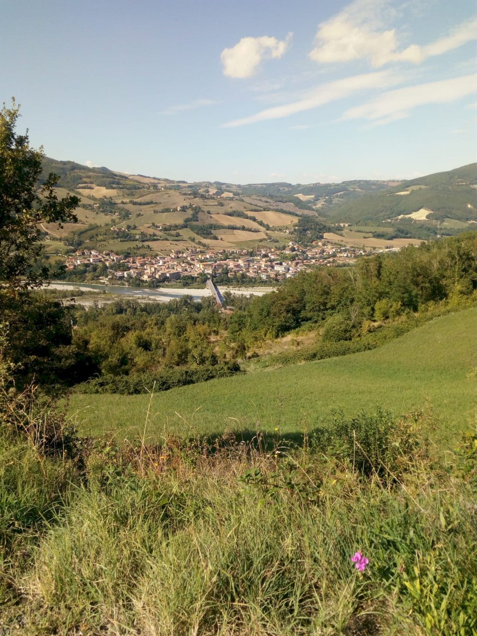 Rustic Travo - photo 1