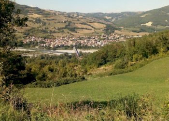 Rustic Travo - photo 1