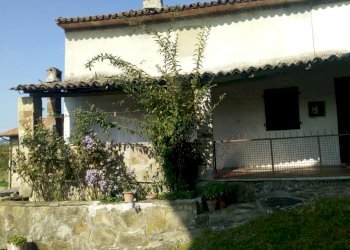 Rustic Travo - photo 2