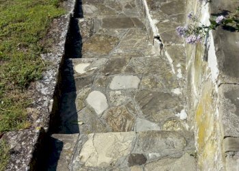 Rustic Travo - photo 15