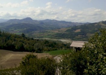 Rustic Travo - photo 16