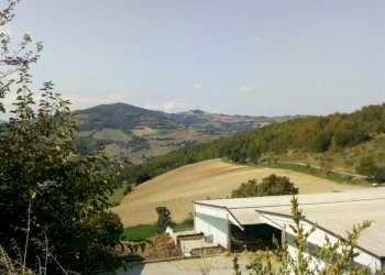 Rustic Travo - photo 18