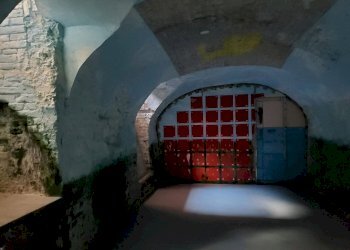 Negozio Piacenza - foto 4