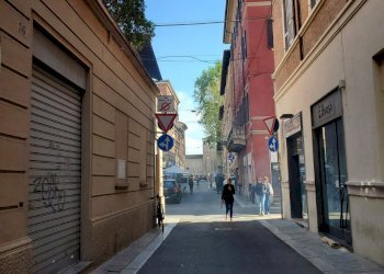 Negozio Piacenza - foto 5