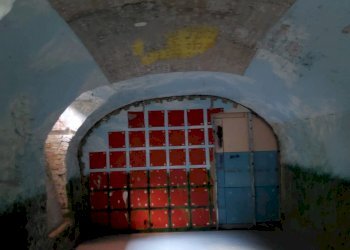 Negozio Piacenza - foto 6