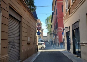 Negozio Piacenza - foto 7