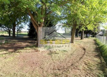 Casa indipendente Via Carrarone chiesa, Ravenna (zona Mezzano - Borgo Masotti) - foto 3