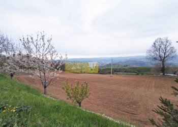 Trilocale Via Cecco Aprutina, Teramo - foto 11