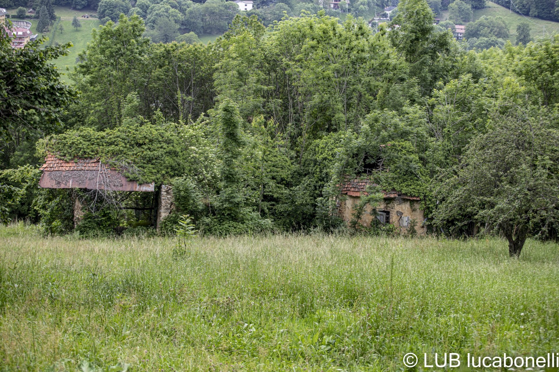 Farmhouse Frabosa Sottana - photo 1