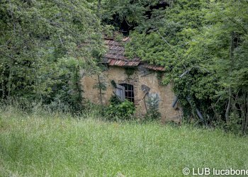 Farmhouse Frabosa Sottana - photo 8