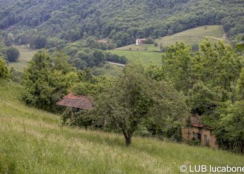 Farmhouse Frabosa Sottana - photo 2