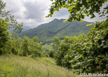 Farmhouse Frabosa Sottana - photo 4