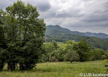 Farmhouse Frabosa Sottana - photo 5