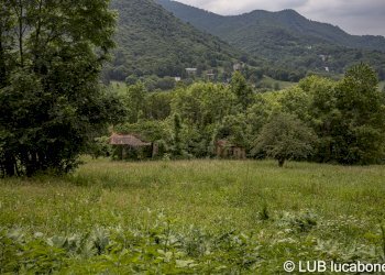 Farmhouse Frabosa Sottana - photo 6