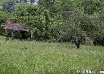 Farmhouse Frabosa Sottana - photo 7
