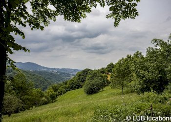 Farmhouse Frabosa Sottana - photo 9