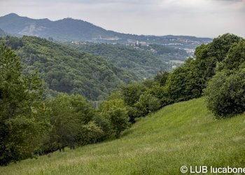 Farmhouse Frabosa Sottana - photo 10