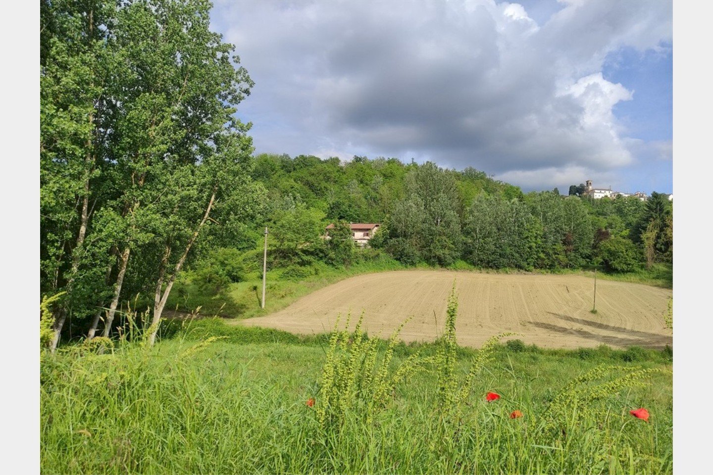 Independent house Azzano d'Asti - photo 3