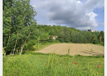 Independent house Azzano d'Asti - photo 3