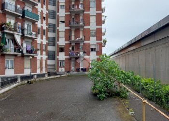 Trilocale Viale Sardegna, Cinisello Balsamo - foto 14