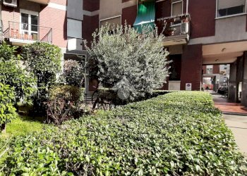 Trilocale Viale Sardegna, Cinisello Balsamo - foto 25