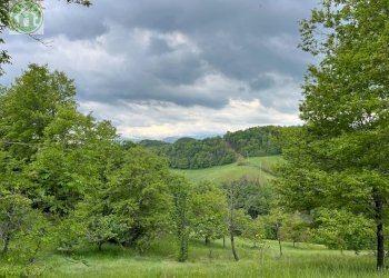 Casa indipendente Pavullo nel Frignano - foto 5