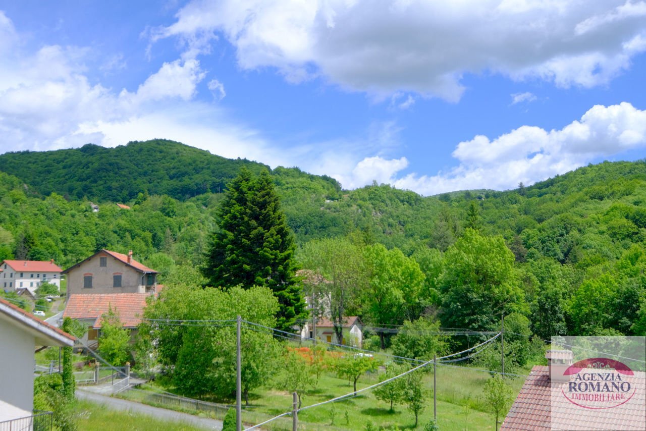 Rif 1500(Copy14).jpg - Mansarda Via Dano 22, Urbe - foto 1