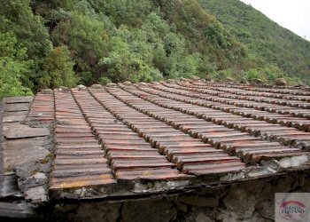 DSCN1561.JPG - Porzione di casa magrania, Albisola Superiore - foto 6