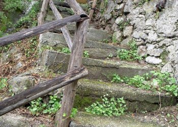 DSCN1564.JPG - Porzione di casa magrania, Albisola Superiore - foto 9