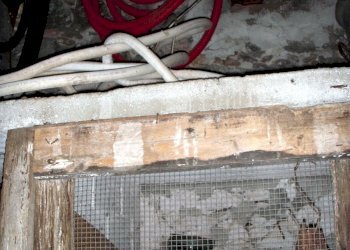 DSCN1569.JPG - Porzione di casa magrania, Albisola Superiore - foto 12