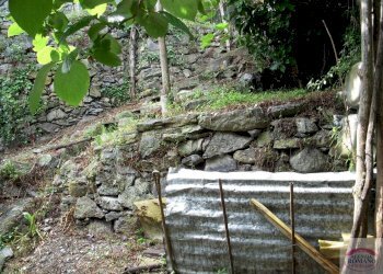 DSCN1580.JPG - Porzione di casa magrania, Albisola Superiore - foto 23