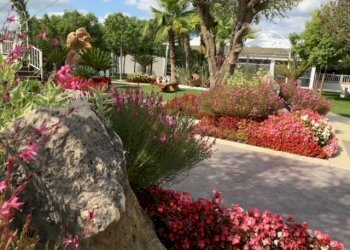 Giardino - Hotel via Cassino, Roma - foto 24