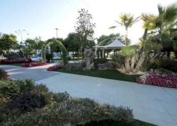 Giardino - Hotel via Cassino, Roma - foto 31