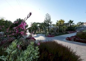 Giardino - Hotel via Cassino, Roma - foto 41