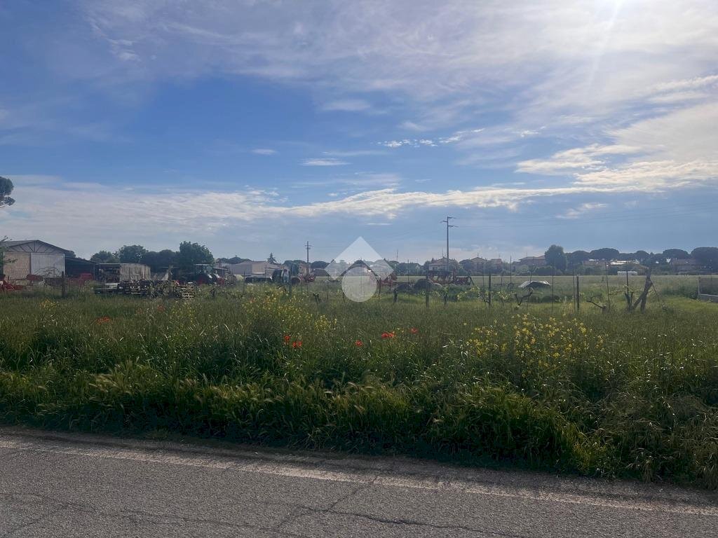 Building land Via Colombarina, Cervia - photo 3