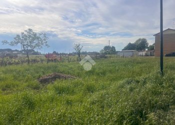 Building land Via Colombarina, Cervia - photo 6