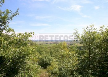 IMG_4225.JPG - Agricultural land Via Castellaro, Castegnero - photo 4