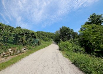 IMG_4222.JPG - Agricultural land Via Castellaro, Castegnero - photo 5