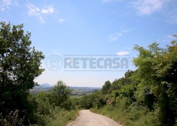 IMG_4240.JPG - Agricultural land Via Castellaro, Castegnero - photo 13