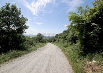 IMG_4220.JPG - Agricultural land Via Castellaro, Castegnero - photo 15